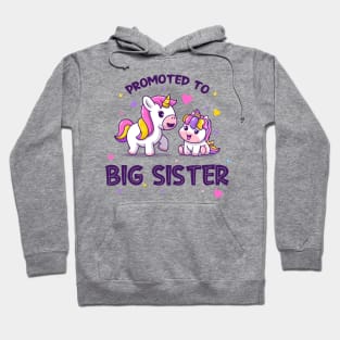 Promoted to big sister (on light colors) Hoodie